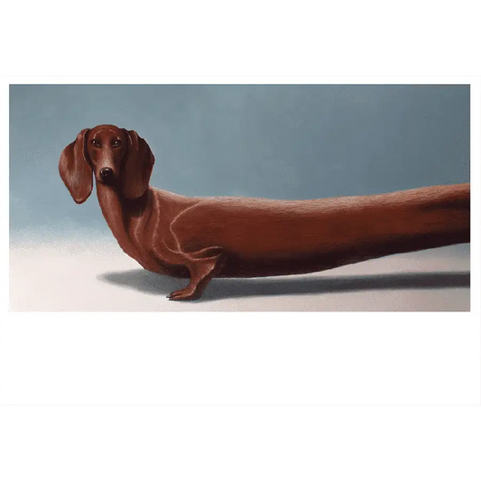 Dachshund III
