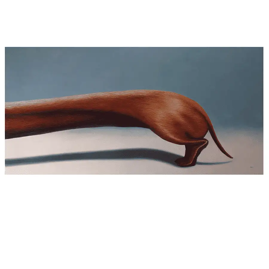 Dachshund III-II