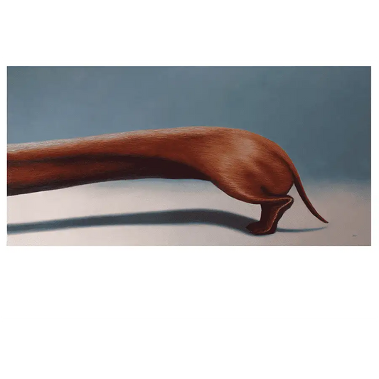 Dachshund III-II